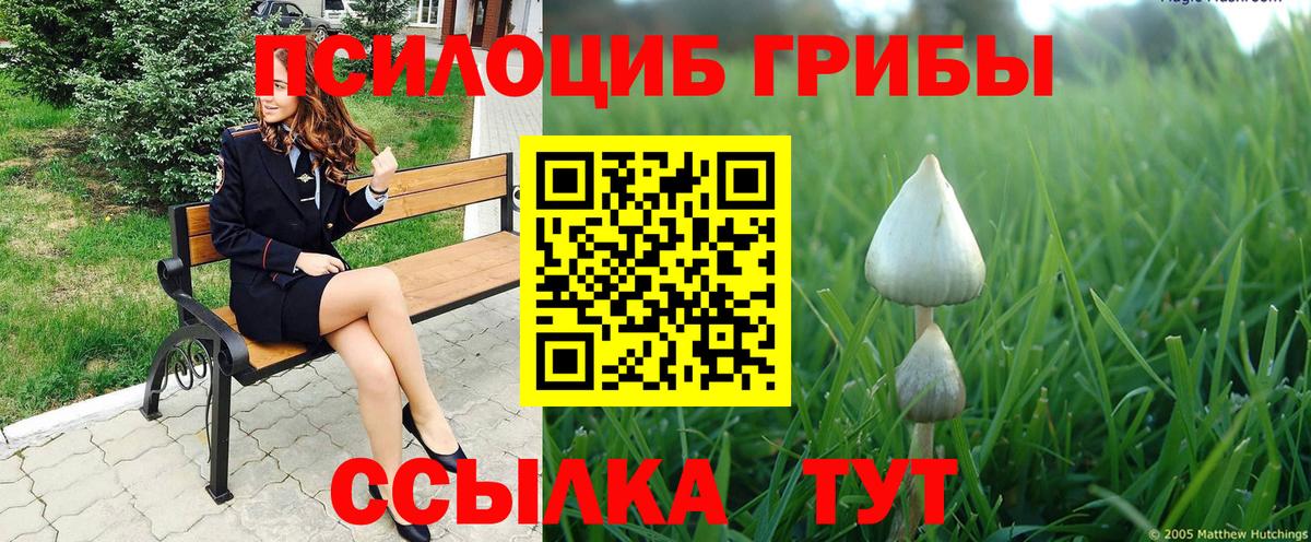 Псилоцибиновые грибы мицелий Верхняя Салда
